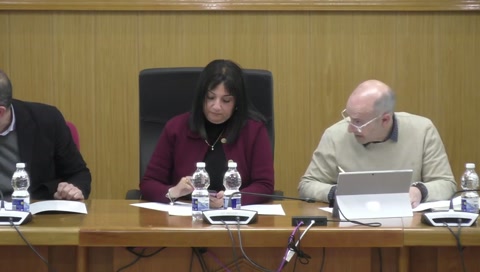 PLENO EXTRAORDINARIO FEBRERO 2025
