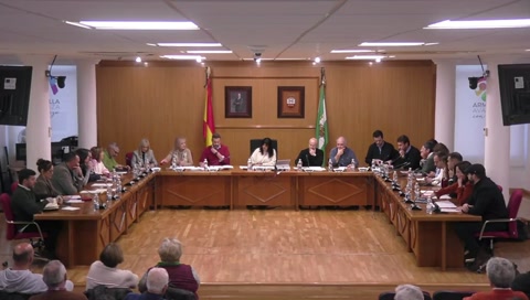 PLENO ORDINARIO MARZO 2025
