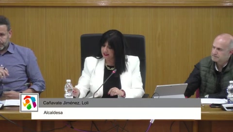 PLENO ORDINARIO ABRIL 2025
