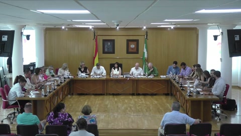 PLENO EXTRAORDINARIO MAYO 2025