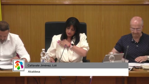 PLENO ORDINARIO JUNIO 