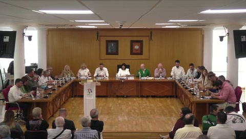 PLENO EXTRAORDINARIO MAYO